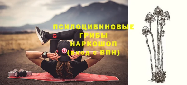 apvp Алексин