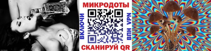 МЕГА онион  хочу наркоту  Заводоуковск  Галлюциногенные грибы мухоморы 